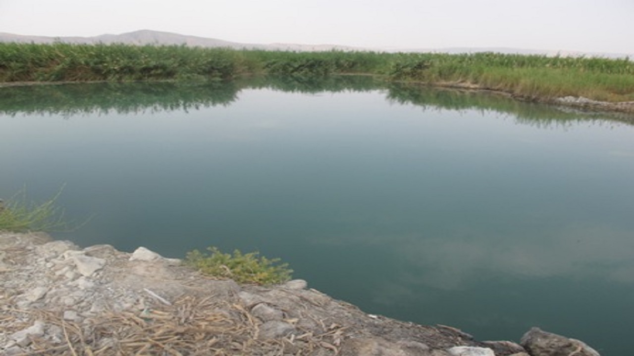 سد بهارستان